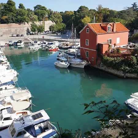 Clover Zadar